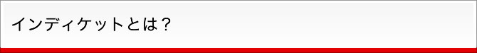 インディケットとは？